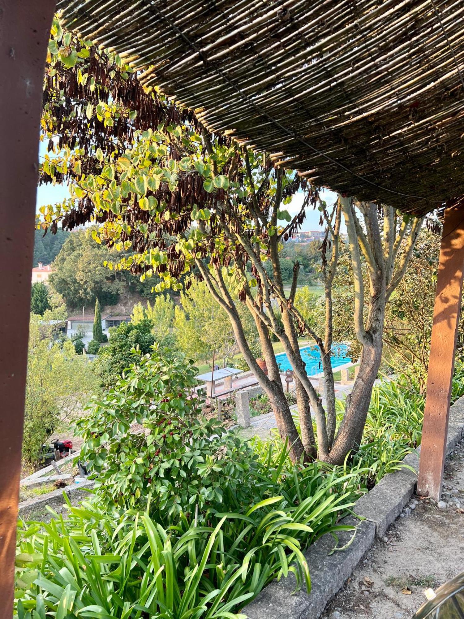 Quinta De Villasete Alpendurada ภายนอก รูปภาพ