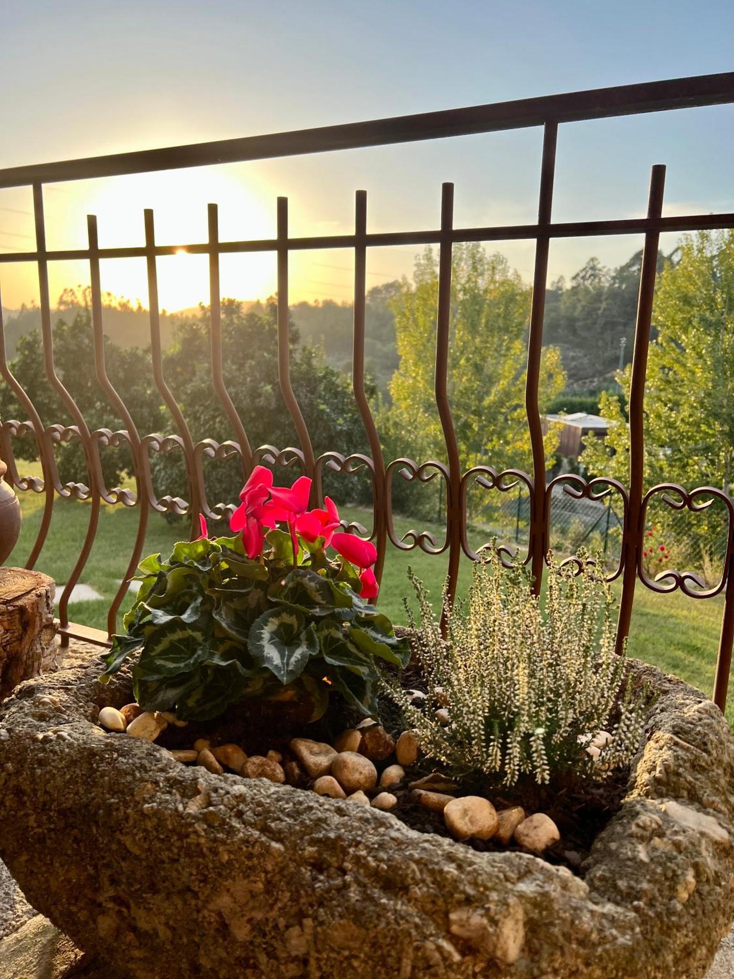 Quinta De Villasete Alpendurada ภายนอก รูปภาพ