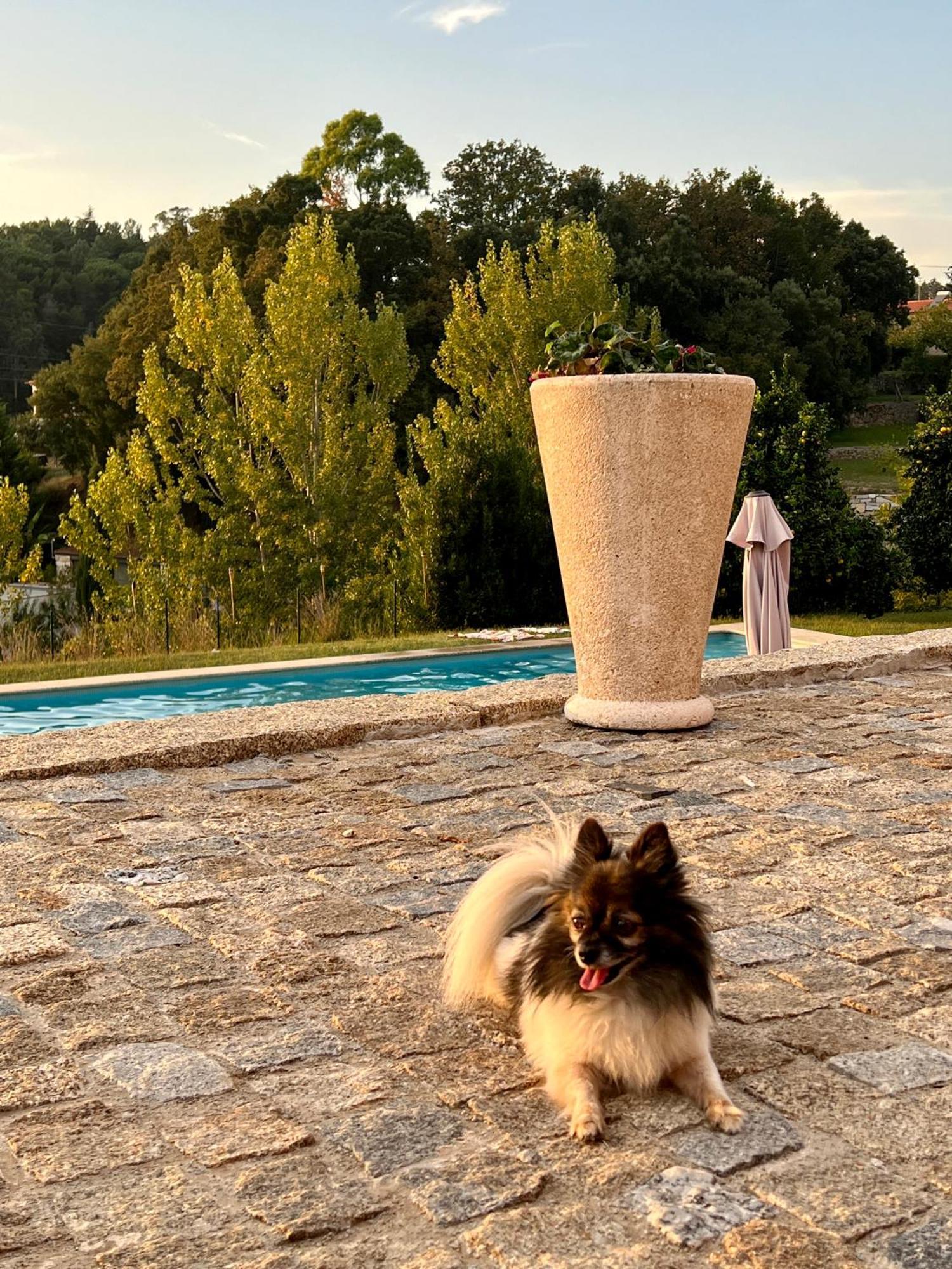 Quinta De Villasete Alpendurada ภายนอก รูปภาพ