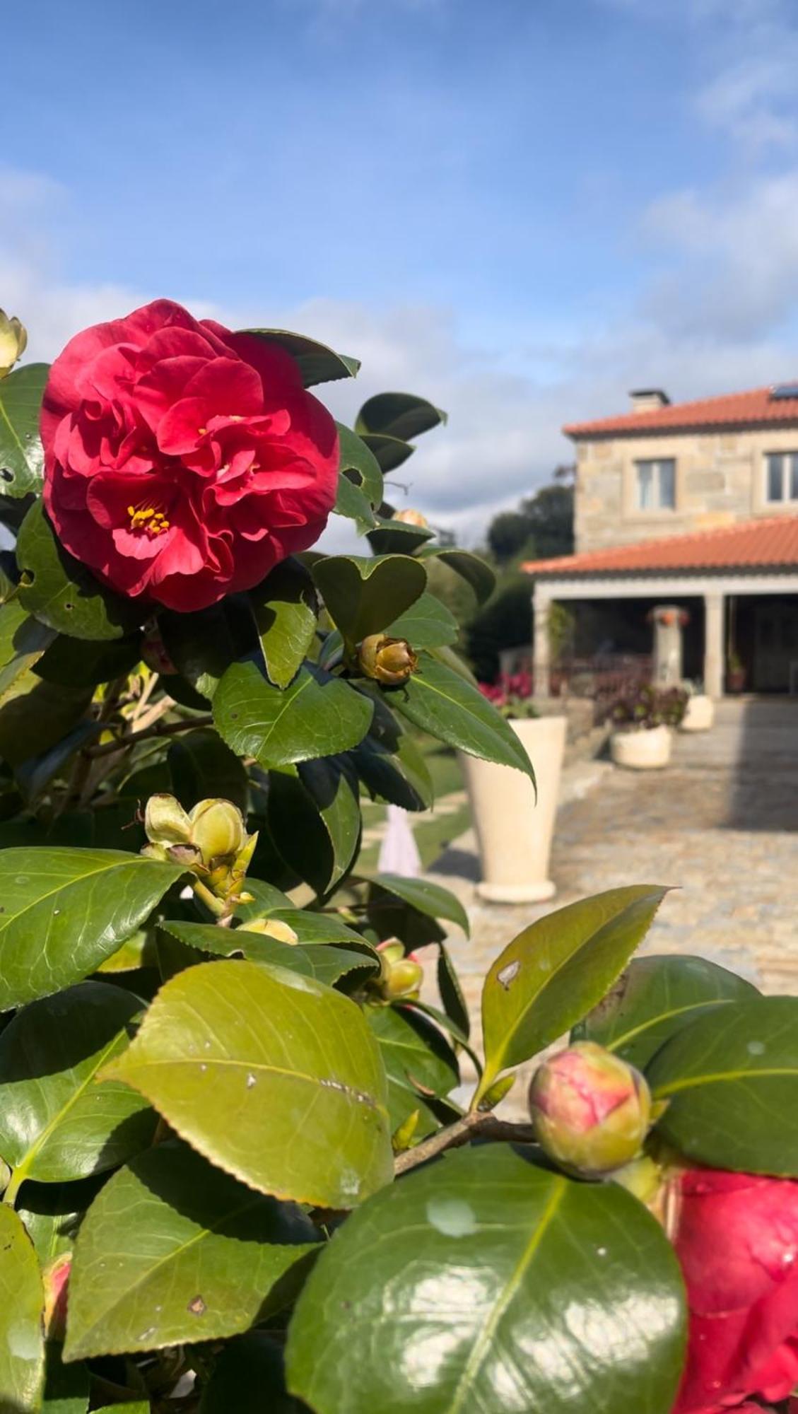 Quinta De Villasete Alpendurada ภายนอก รูปภาพ