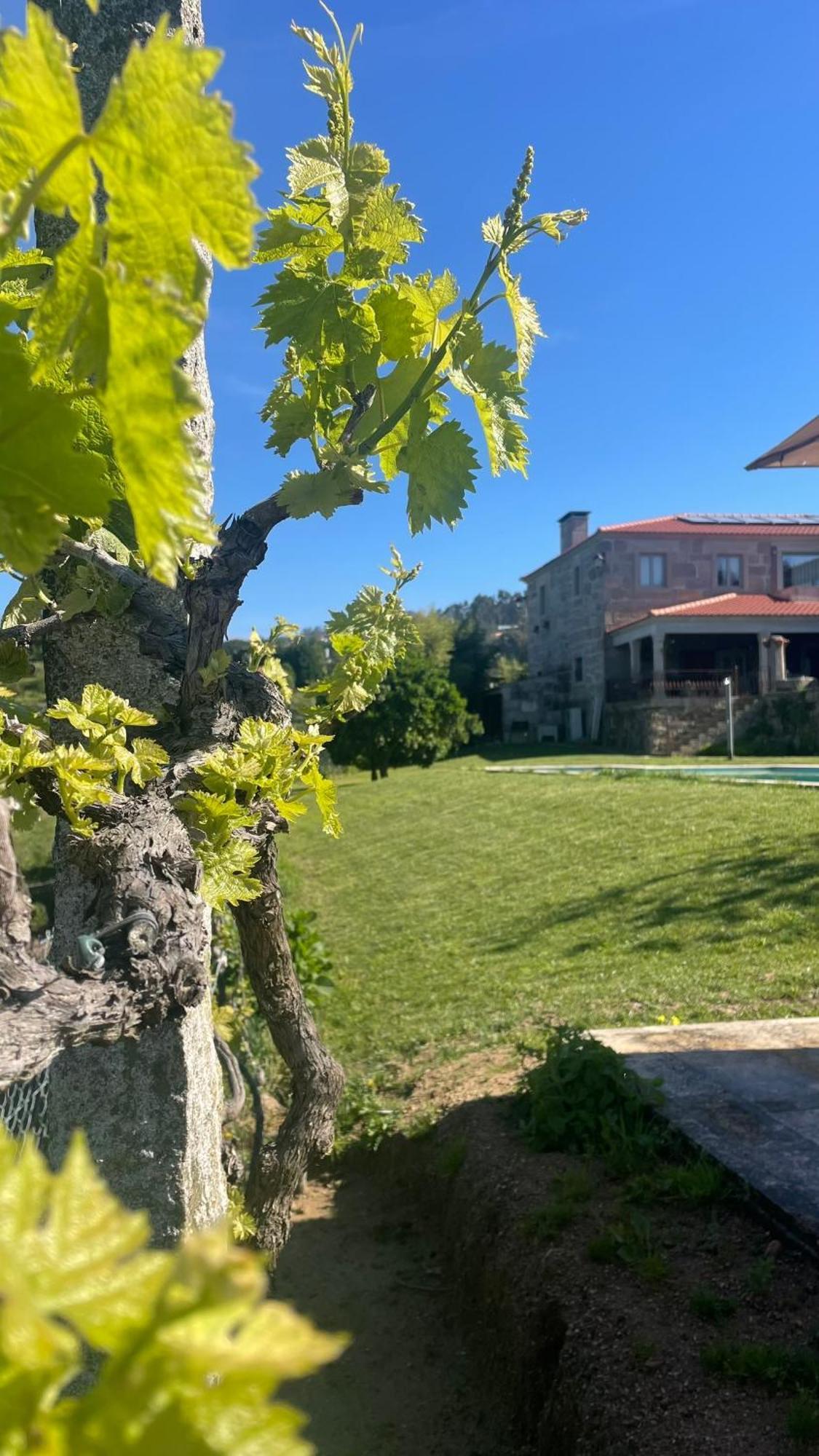 Quinta De Villasete Alpendurada ภายนอก รูปภาพ