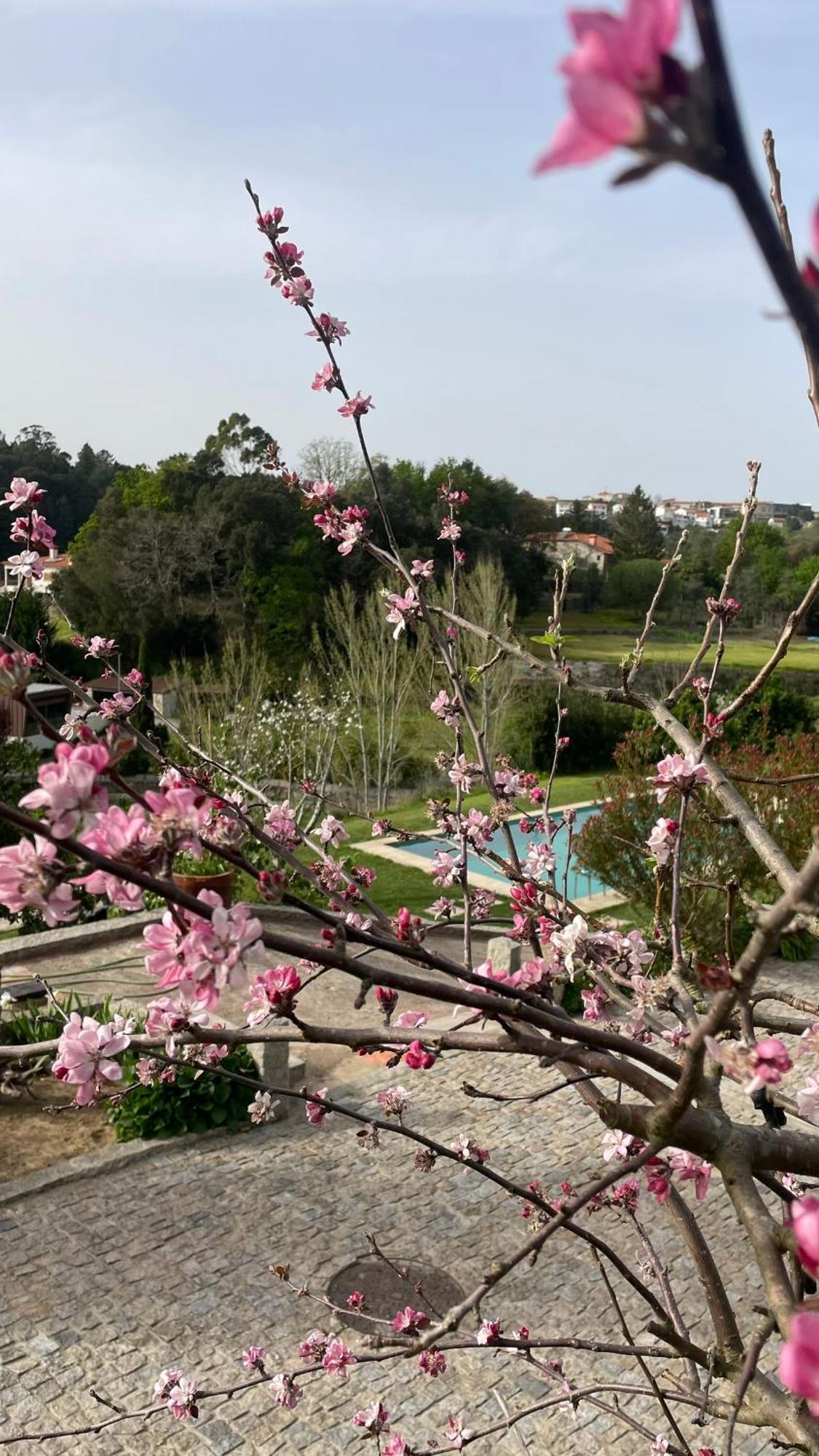 Quinta De Villasete Alpendurada ภายนอก รูปภาพ