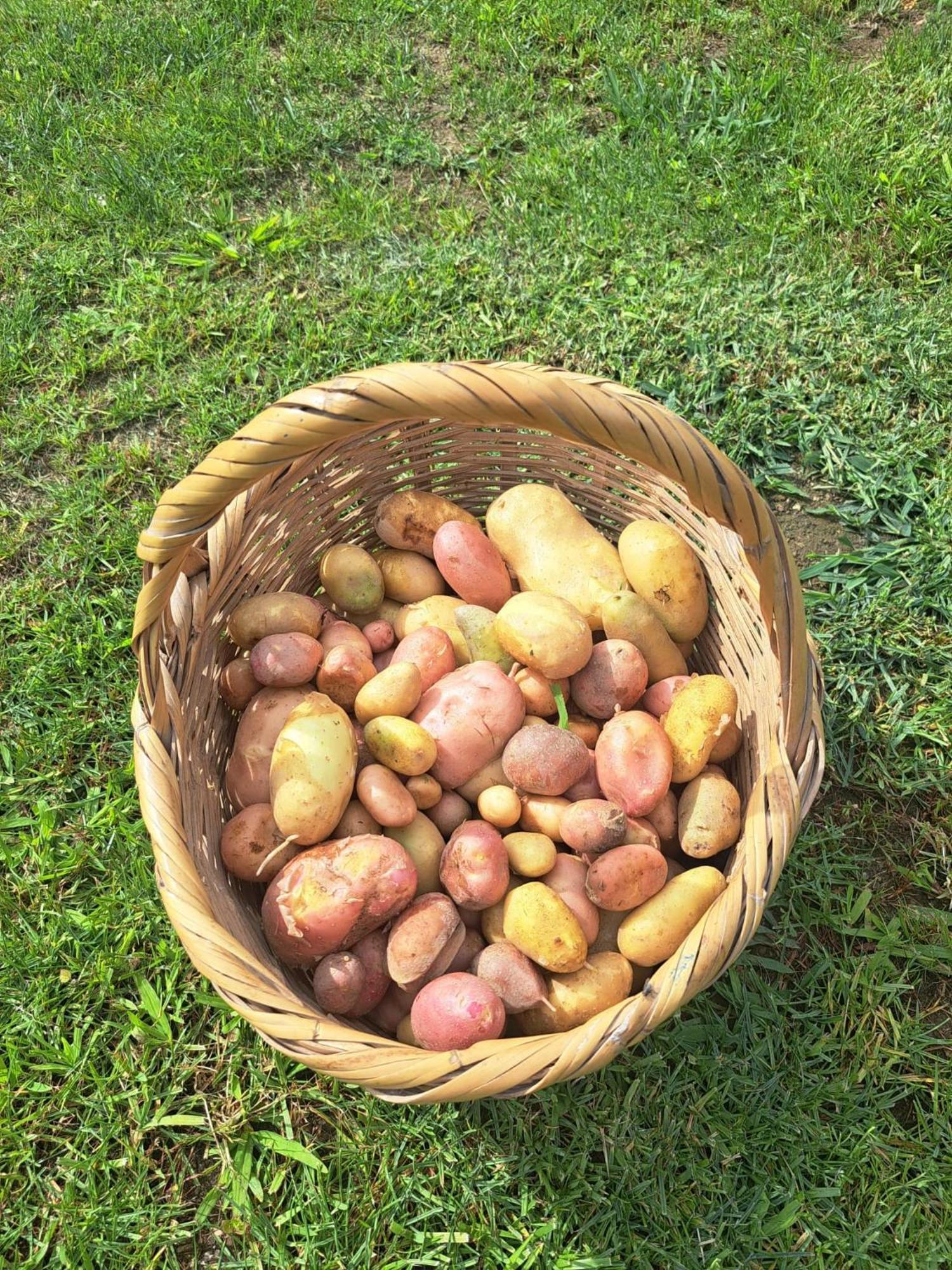 Quinta De Villasete Alpendurada ภายนอก รูปภาพ