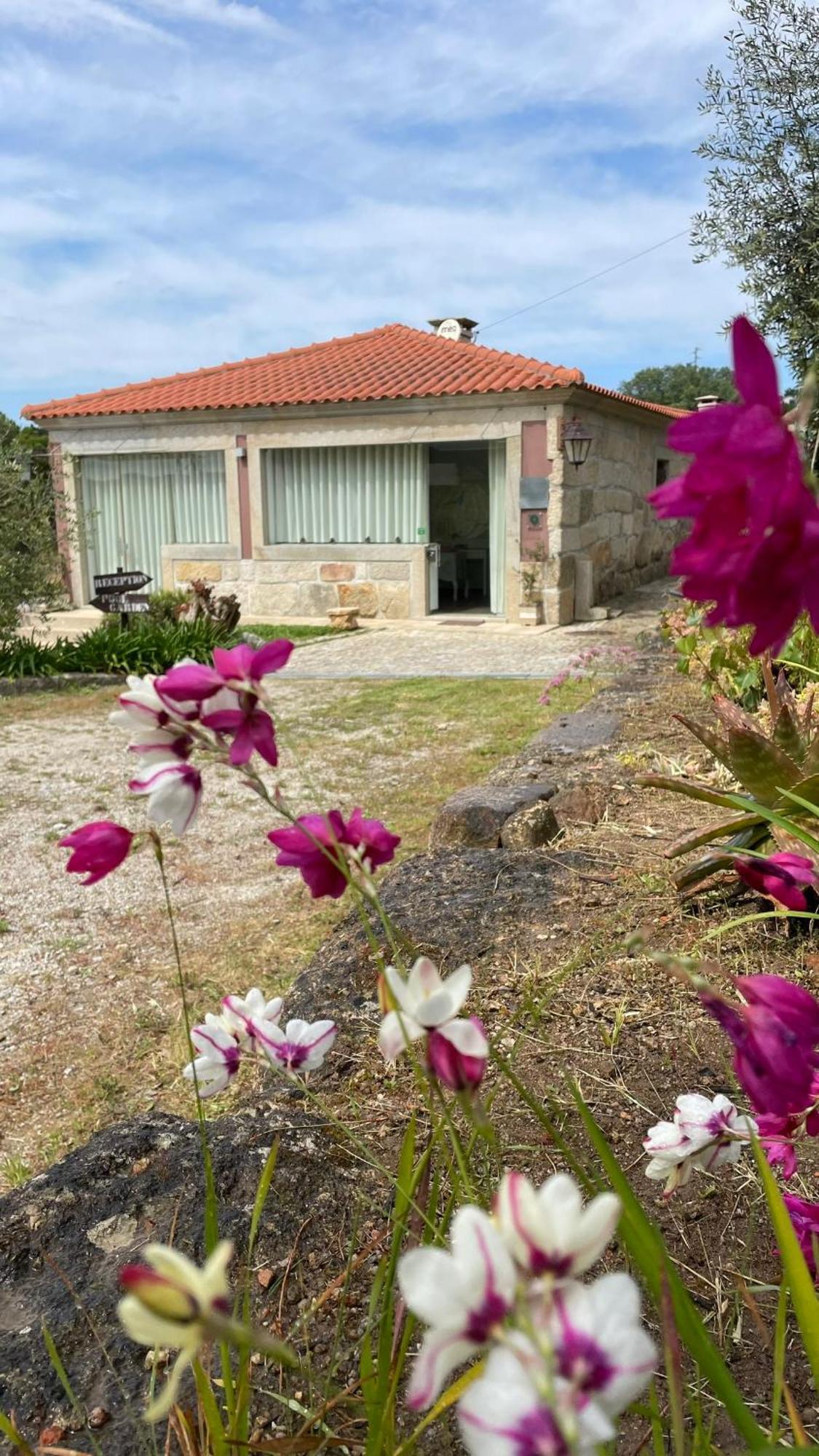 Quinta De Villasete Alpendurada ภายนอก รูปภาพ