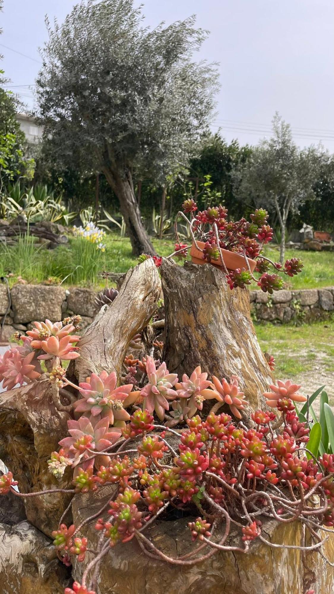 Quinta De Villasete Alpendurada ภายนอก รูปภาพ