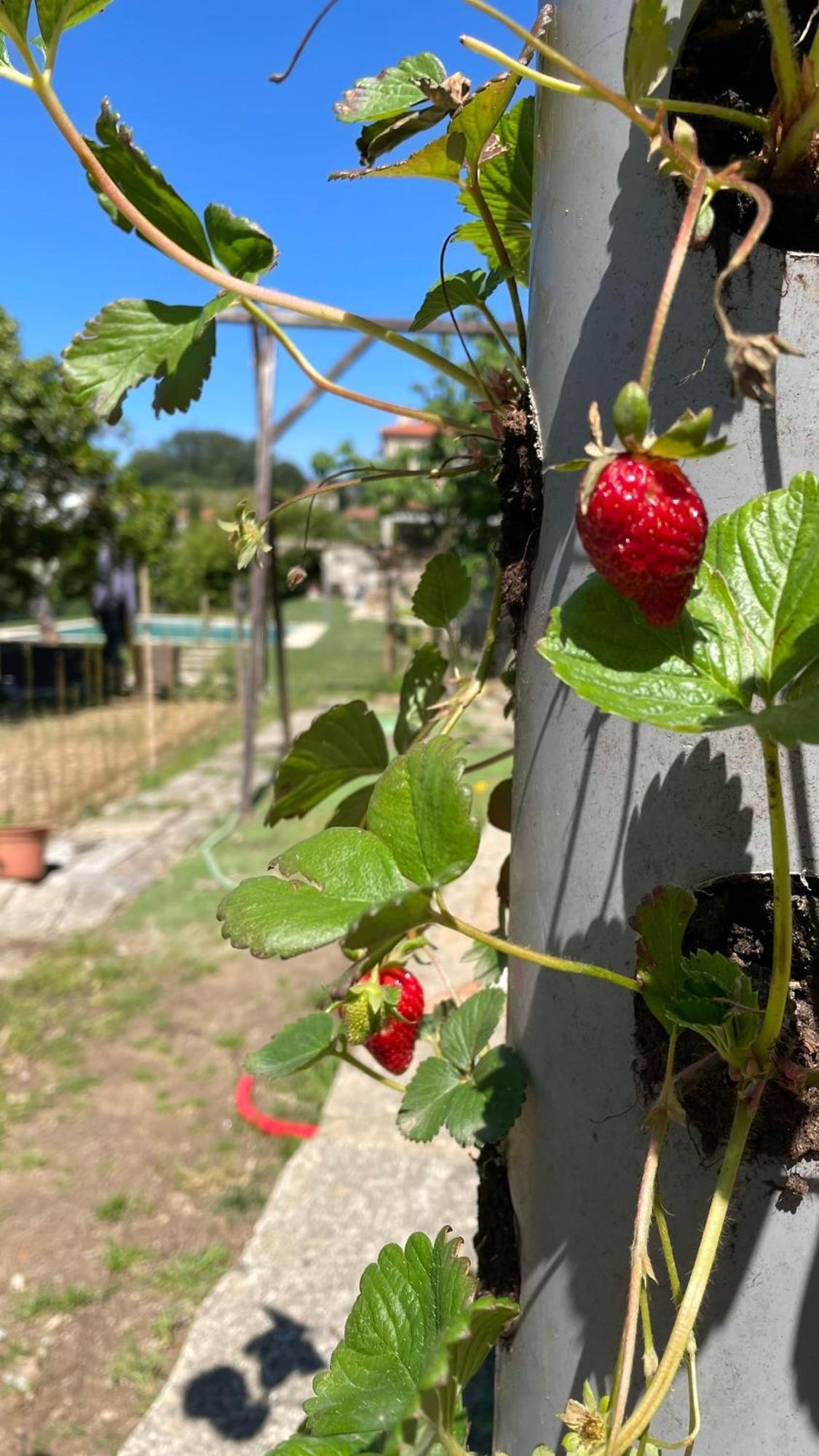 Quinta De Villasete Alpendurada ภายนอก รูปภาพ