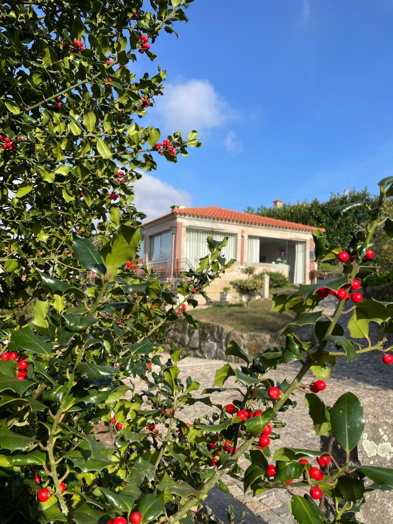 Quinta De Villasete Alpendurada ภายนอก รูปภาพ