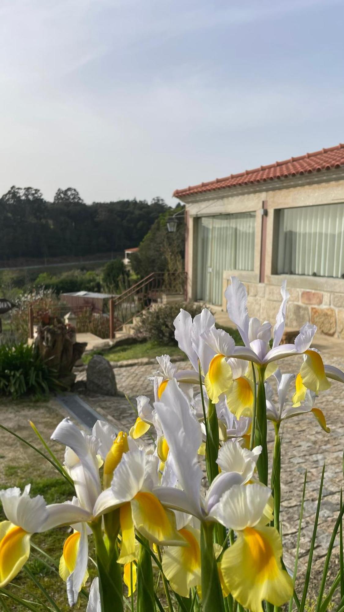 Quinta De Villasete Alpendurada ภายนอก รูปภาพ