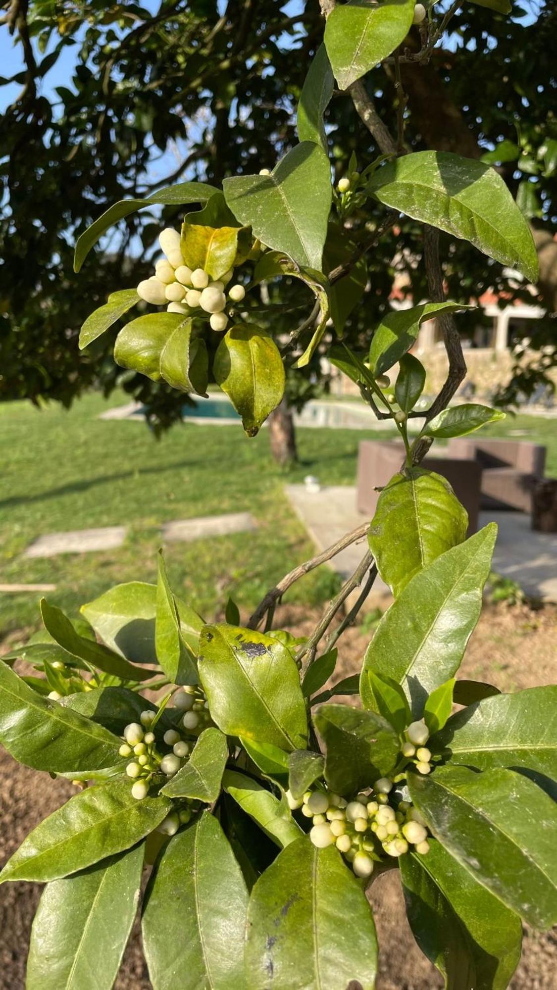 Quinta De Villasete Alpendurada ภายนอก รูปภาพ