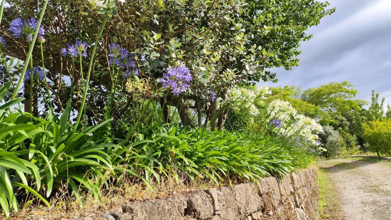 Quinta De Villasete Alpendurada ภายนอก รูปภาพ